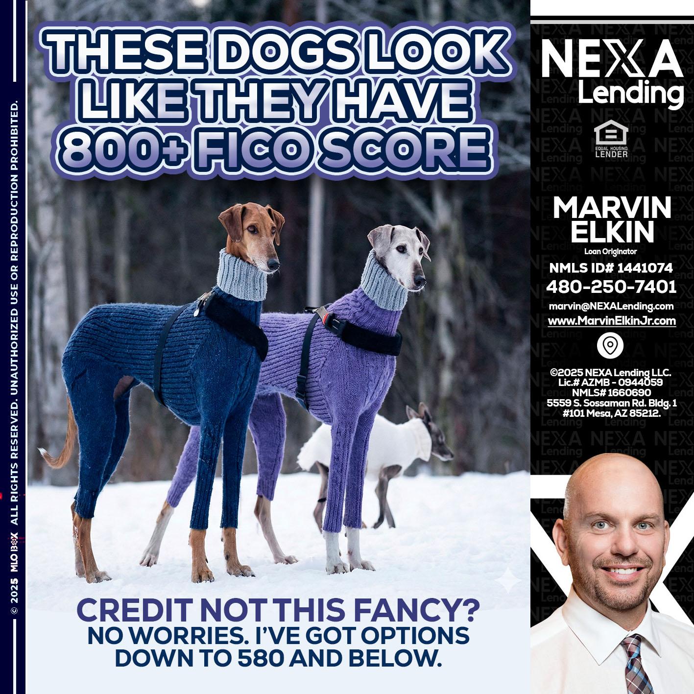 THESE DOGS LOOK - Marvin Elkin -Loan Originator